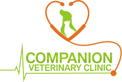 Companion Veterinary Clinic