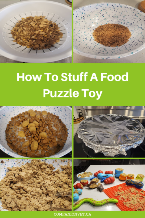 how to fill kong with kibble