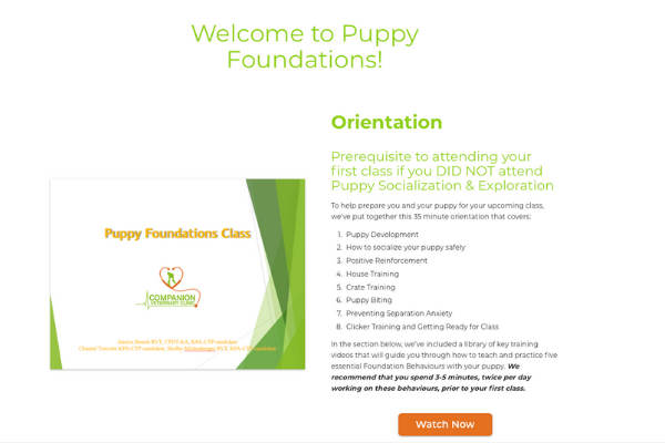 Screen Capture of Online Dog Training Resources