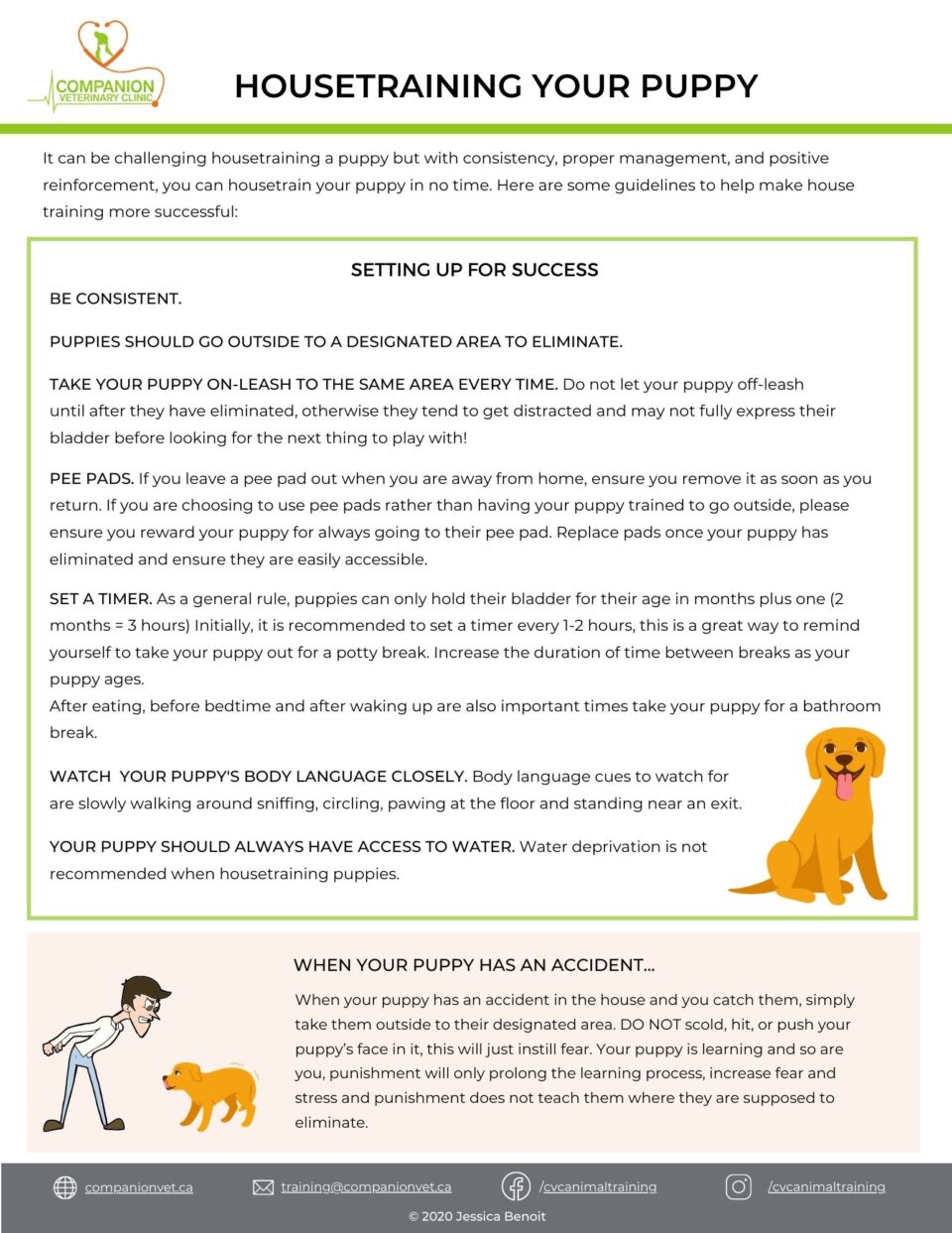 How to Housetrain a puppy handout