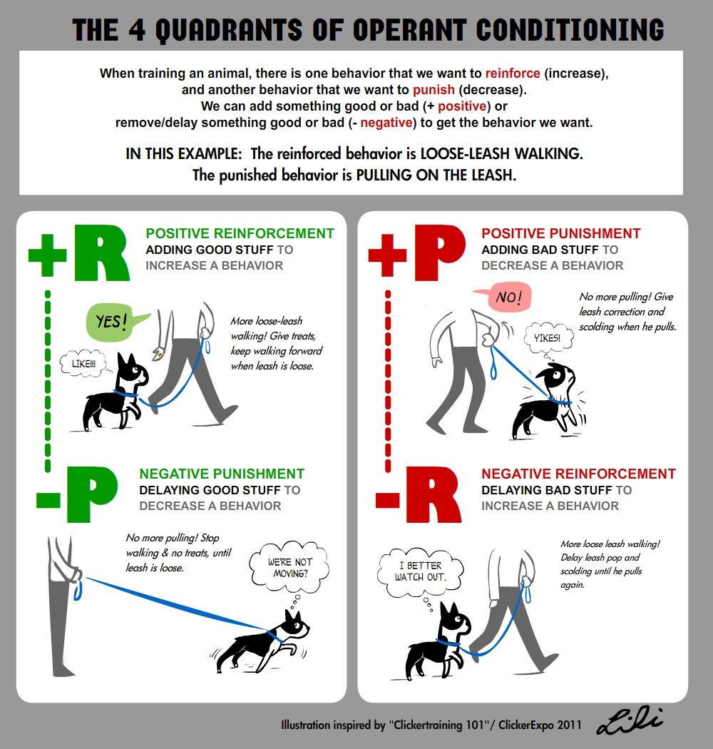 Clicker Training 101: How it Really Works