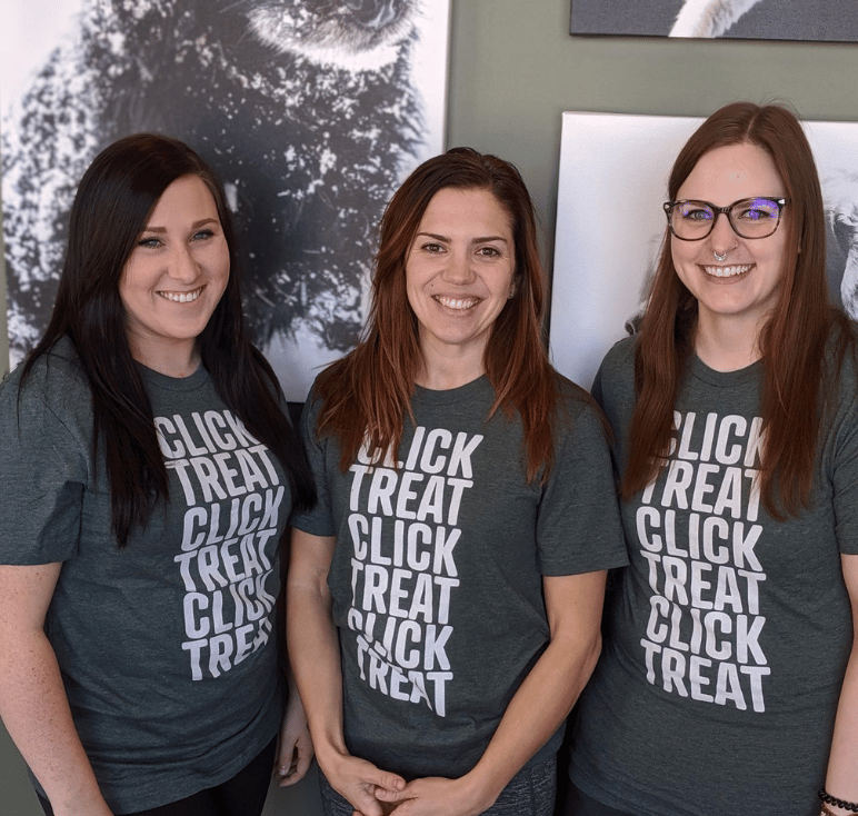 Companion Veterinary Clinic's training team: Chantal Turcotte, Jessica Benoit, Shelby Mildenberger